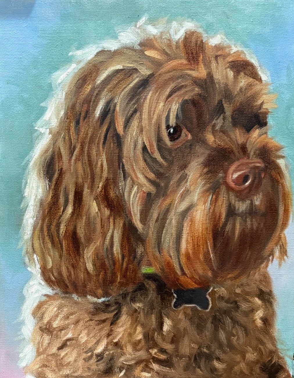 Oil portrait of Hershey, a chocolate cockapoo, on a soft blue background